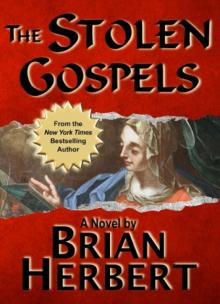 The Stolen Gospels Read online