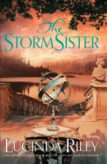 The Storm Sister Read online