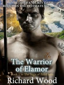 The Warrior of Elamor (Saga of Zel-Elcon Book 1) Read online