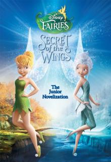 Tinker Bell: Secret of the Wings Junior Novel