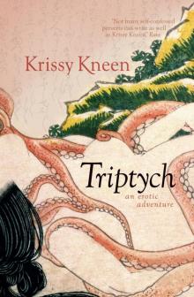 Triptych, An Erotic Adventure Read online