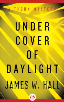 Under Cover of Daylight Read online
