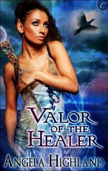Valor of the Healer Read online