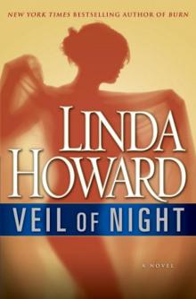 Veil of Night: A Novel