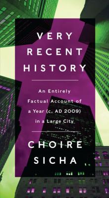Very Recent History: An Entirely Factual Account of a Year (C. AD 2009) in a Large City