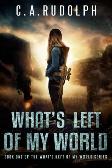 What's Left of My World (Book 1) Read online