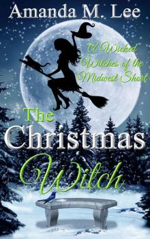 wicked witches 07.5 - christmas witch Read online
