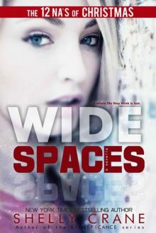 Wide Spaces (A Wide Awake Novella, Book 2) Read online