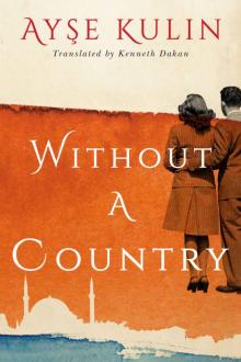 Without a Country Read online