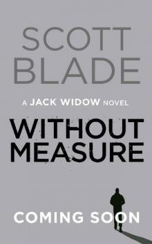 Without Measure: A Jack Widow Thriller Read online