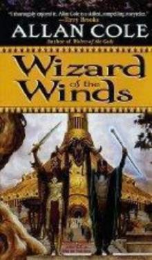 Wizard of the winds tott-1 Read online