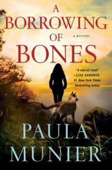 A Borrowing of Bones--A Mystery Read online