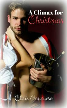 A Climax for Christmas (A Holiday Romance Novella) Read online