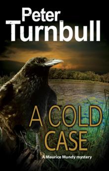 A Cold Case Read online