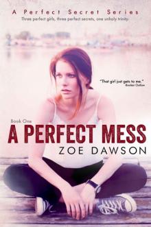A Perfect Mess Read online