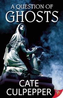 A Question of Ghosts Read online