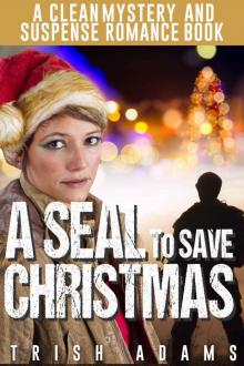 A SEAL to Save Christmas Read online
