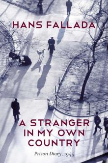 A Stranger in My Own Country Read online