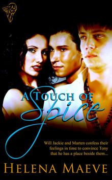 A Touch of Spice Read online