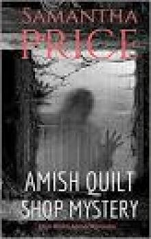 Amish Quilt Shop Mystery Read online