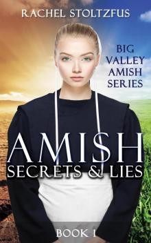 Amish Secrets and Lies Read online