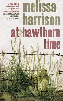 At Hawthorn Time Read online