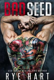 Bad Seed_A Brother's Best Friend Romance Read online