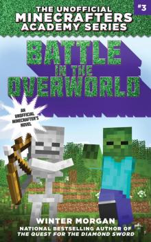 Battle in the Overworld Read online