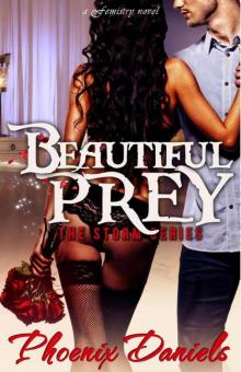 Beautiful Prey: The Storm Series Read online