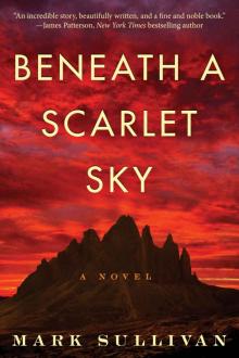 Beneath a Scarlet Sky: A Novel Read online