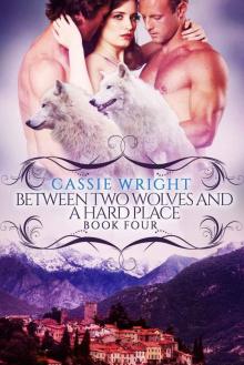 Between Two Wolves and a Hard Place: (BBW Paranormal Shape Shifter Romance) (Honeycomb Falls Book 4) Read online
