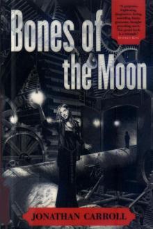 Bones of The Moon Read online