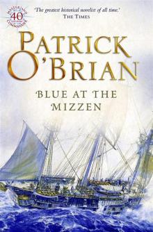 Book 20 - Blue At The Mizzen Read online