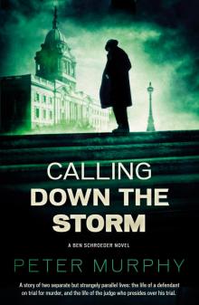 Calling Down the Storm Read online