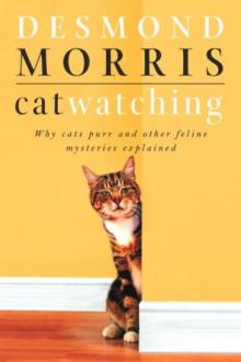 Catwatching Read online