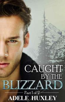 Caught by the Blizzard: A romantic winter thriller (Tellure Hollow Book 1) Read online