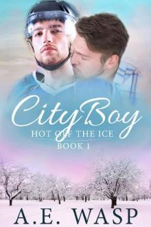 City Boy (Hot Off the Ice Book 1) Read online