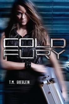Cold Fury Read online