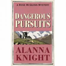 Dangerous Pursuits (A Rose McQuinn Mystery) Read online