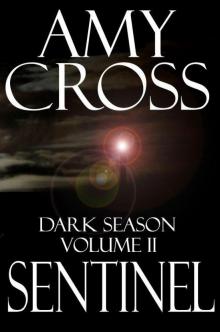 Dark Season II: Sentinel Read online