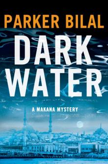Dark Water Read online
