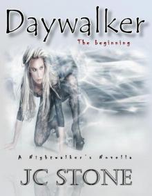 Daywalker ~ The Beginning (Nightwalkers)