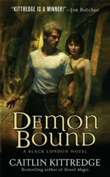 Demon Bound bl-2 Read online