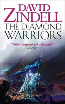 Diamond Warriors Read online