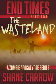 End Times (Book 2): The Wasteland Read online