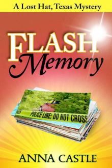 Flash Memory: A Lost Hat, Texas, Mystery (The Lost Hat, Texas, Mystery Series Book 2) Read online