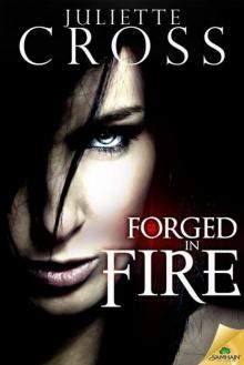 Forged in Fire Read online