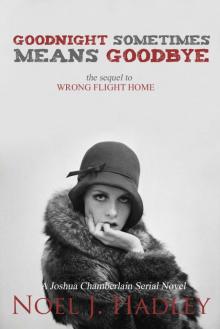 Goodnight Sometimes Means Goodbye (Wrong Flight Home, #2) Read online