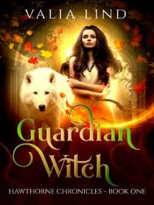 Guardian Witch Read online