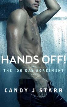 Hands Off! The 100 Day Agreement Read online